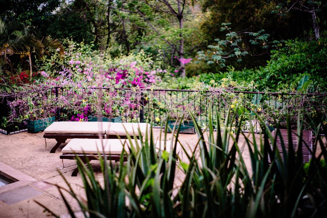 celebrity garden design