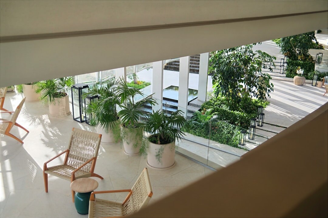 Bright modern interior with architectural details and plants